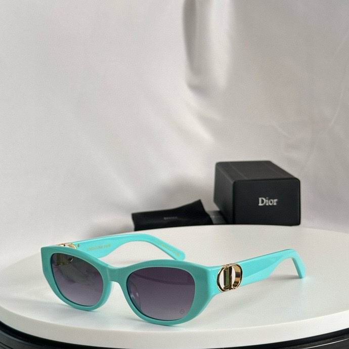 Dior Glasses smr (12)